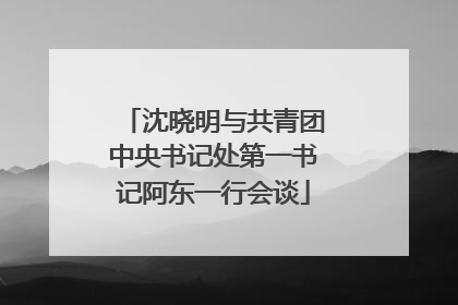 沈晓明与共青团中央书记处第一书记阿东一行会谈