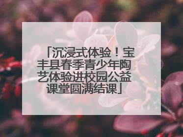 沉浸式体验！宝丰县春季青少年陶艺体验进校园公益课堂圆满结课