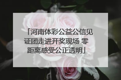 河南体彩公益公信见证团走进开奖现场 零距离感受公正透明