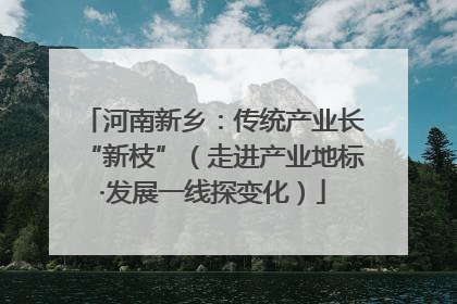 河南新乡：传统产业长“新枝”（走进产业地标·发展一线探变化）