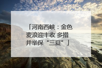 河南西峡：金色麦浪迎丰收 多措并举保“三夏”