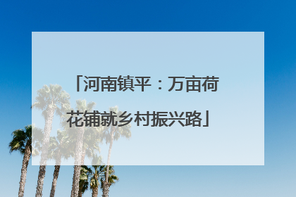 河南镇平：万亩荷花铺就乡村振兴路