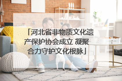 河北省非物质文化遗产保护协会成立 凝聚合力守护文化根脉