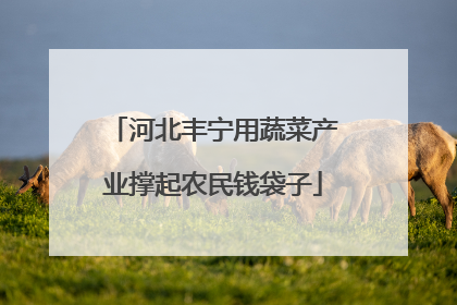 河北丰宁用蔬菜产业撑起农民钱袋子