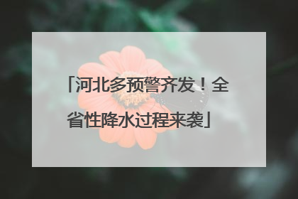 河北多预警齐发！全省性降水过程来袭