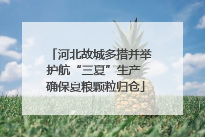 河北故城多措并举护航“三夏”生产 确保夏粮颗粒归仓