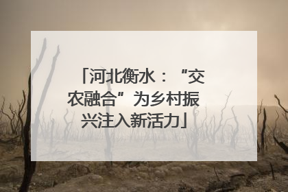 河北衡水：“交农融合”为乡村振兴注入新活力