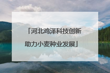 河北鸡泽科技创新助力小麦种业发展