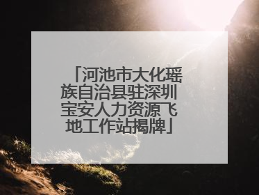 河池市大化瑶族自治县驻深圳宝安人力资源飞地工作站揭牌