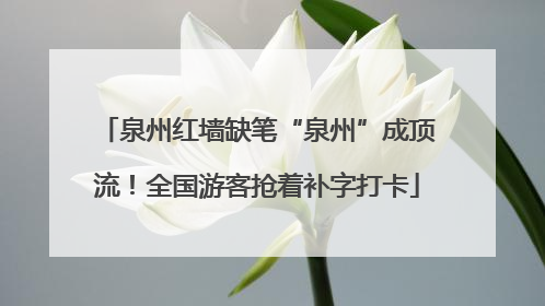 泉州红墙缺笔“泉州”成顶流！全国游客抢着补字打卡