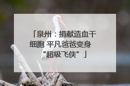 泉州：捐献造血干细胞 平凡爸爸变身“超级飞侠”