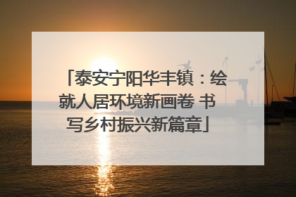 泰安宁阳华丰镇：绘就人居环境新画卷 书写乡村振兴新篇章
