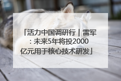 活力中国调研行｜雷军：未来5年将投2000亿元用于核心技术研发