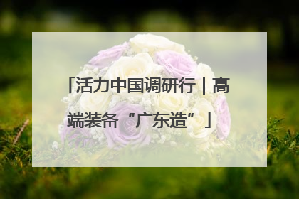 活力中国调研行｜高端装备“广东造”