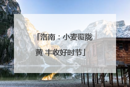 洛南：小麦覆陇黄 丰收好时节
