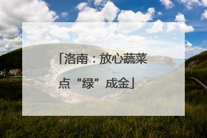 洛南：放心蔬菜点“绿”成金
