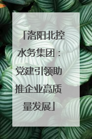 洛阳北控水务集团：党建引领助推企业高质量发展