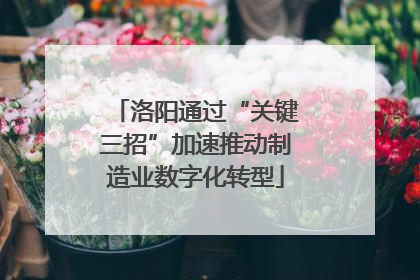 洛阳通过“关键三招”加速推动制造业数字化转型