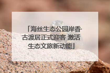 海丝生态公园岸香·古渡居正式迎客 激活生态文旅新动能