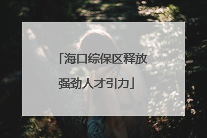 海口综保区释放强劲人才引力