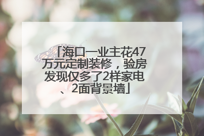海口一业主花47万元定制装修，验房发现仅多了2样家电、2面背景墙