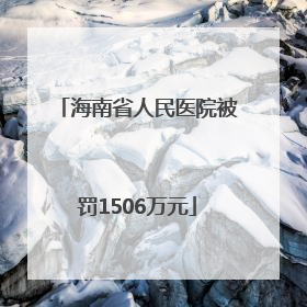 海南省人民医院被罚1506万元