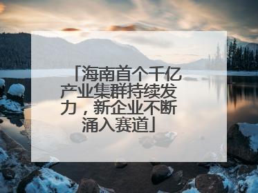 海南首个千亿产业集群持续发力，新企业不断涌入赛道