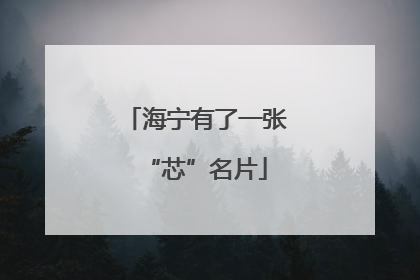 海宁有了一张“芯”名片