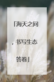海天之间，书写生态答卷