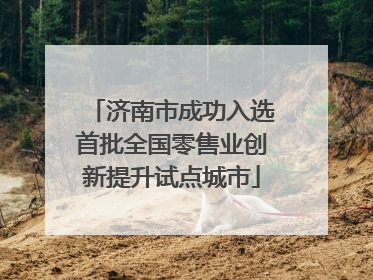 济南市成功入选首批全国零售业创新提升试点城市