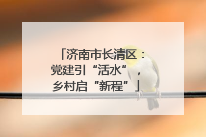 济南市长清区：党建引“活水”，乡村启“新程”