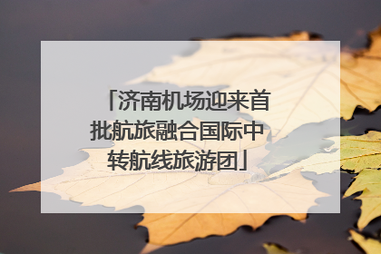 济南机场迎来首批航旅融合国际中转航线旅游团
