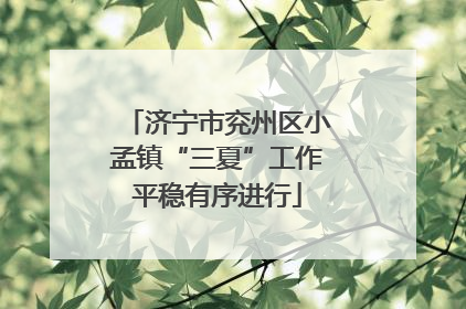 济宁市兖州区小孟镇“三夏”工作平稳有序进行