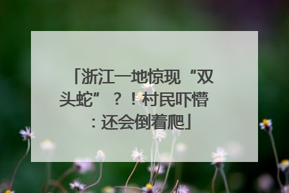 浙江一地惊现“双头蛇”？！村民吓懵：还会倒着爬