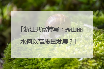 浙江共富特写：秀山丽水何以高质量发展？