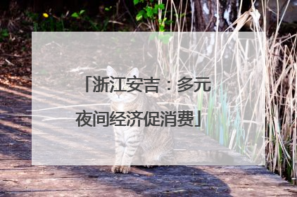 浙江安吉：多元夜间经济促消费