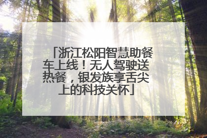 浙江松阳智慧助餐车上线！无人驾驶送热餐，银发族享舌尖上的科技关怀
