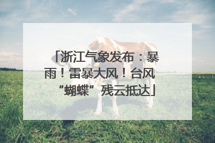 浙江气象发布：暴雨！雷暴大风！台风“蝴蝶”残云抵达