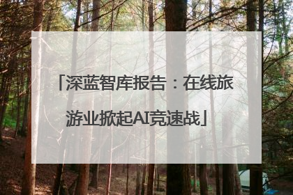 深蓝智库报告：在线旅游业掀起AI竞速战