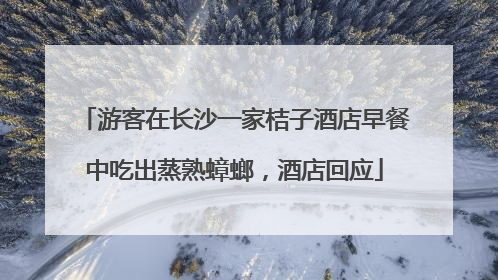 游客在长沙一家桔子酒店早餐中吃出蒸熟蟑螂，酒店回应