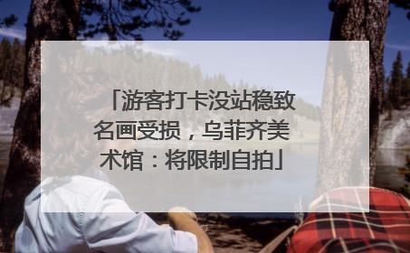 游客打卡没站稳致名画受损，乌菲齐美术馆：将限制自拍