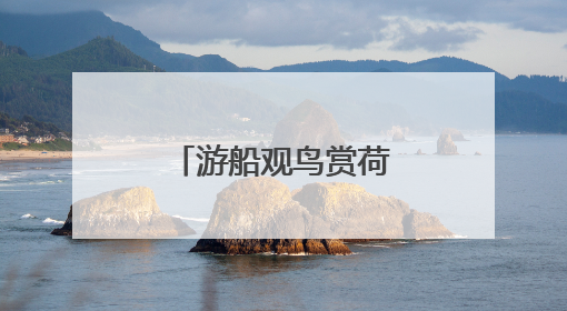 游船观鸟赏荷正当时 辽河七星湖景区开园