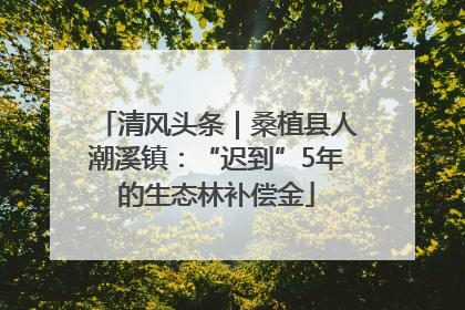 清风头条｜桑植县人潮溪镇：“迟到”5年的生态林补偿金