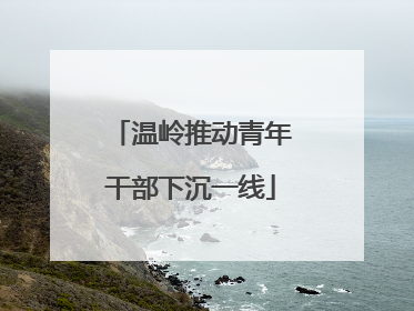 温岭推动青年干部下沉一线
