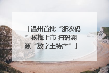 温州首批“浙农码”杨梅上市 扫码溯源“数字土特产”