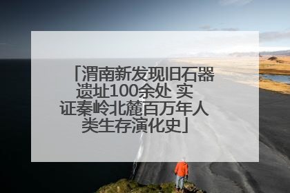 渭南新发现旧石器遗址100余处 实证秦岭北麓百万年人类生存演化史