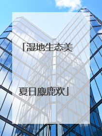 湿地生态美 夏日麋鹿欢