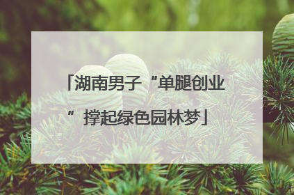 湖南男子“单腿创业”撑起绿色园林梦