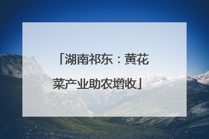 湖南祁东：黄花菜产业助农增收
