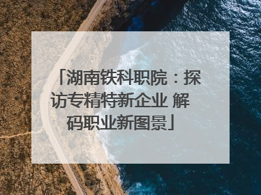 湖南铁科职院：探访专精特新企业 解码职业新图景
